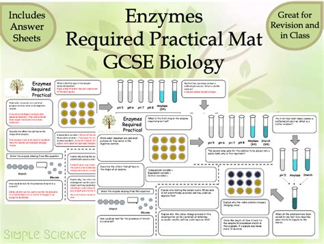 ocr-biology-practical-immobilised-enzymes Ebook PDF